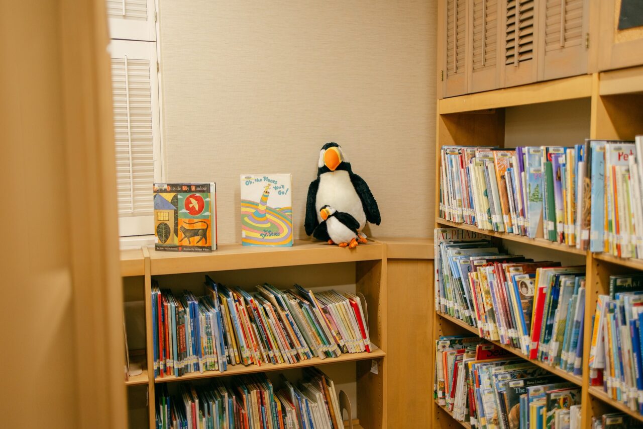 Click to expand image: Image of bookshelves with childrens' books