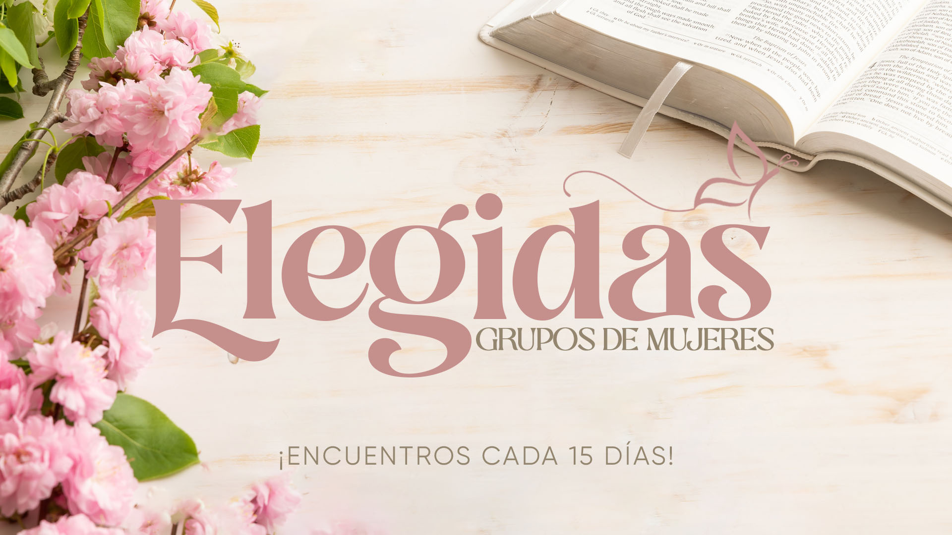 Elegidas: Grupo de Mujeres
