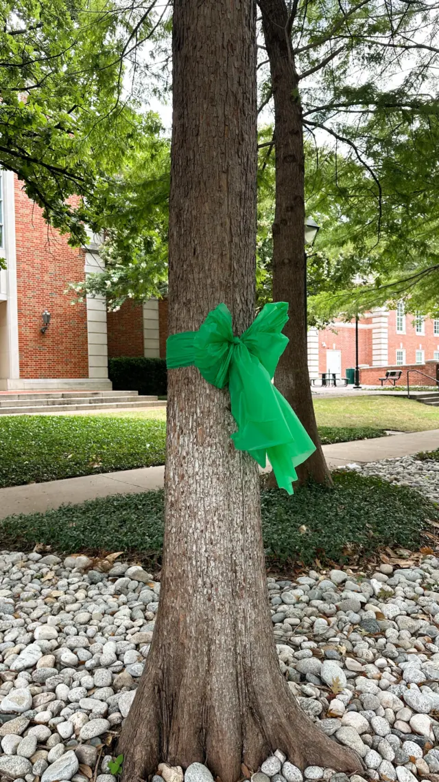 The Park Cities Baptist Church family is mourning with our community over the tragic events in Camp Mystic and the entire Hill Country area. 🙏🏻💚

If you are grieving and aren’t sure where to turn for help, our church is here to come alongside you and is available to meet with you and your family personally, pray with you, and provide counseling.

Visit pcbc.org/care for resources for you and your family. Please contact us if there is any way we can help you in these days.